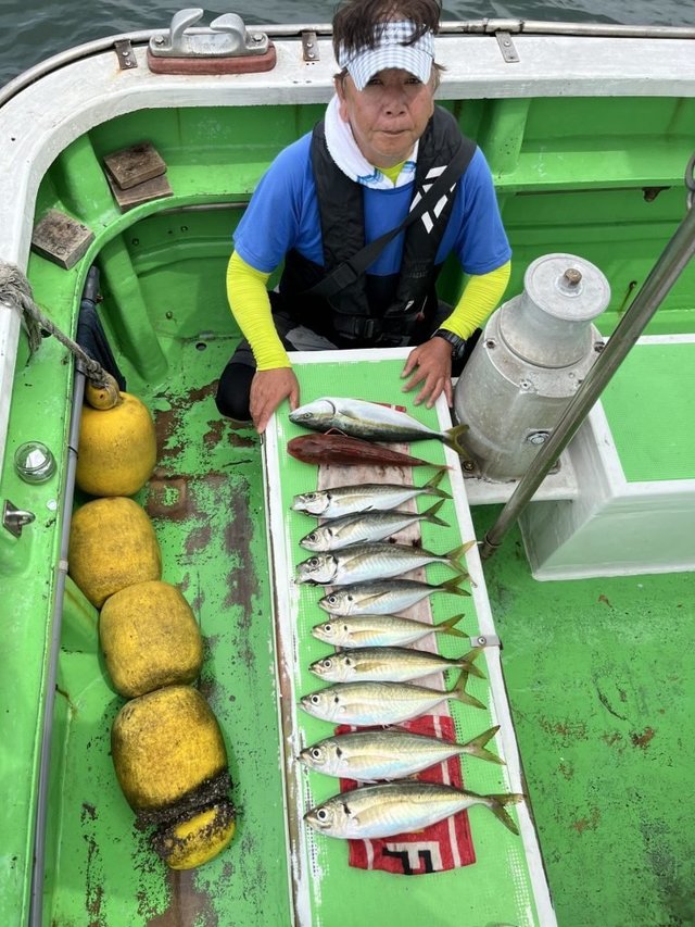 クロダイ・メジナ・アジ(マアジ)・ワカシ(ブリ)