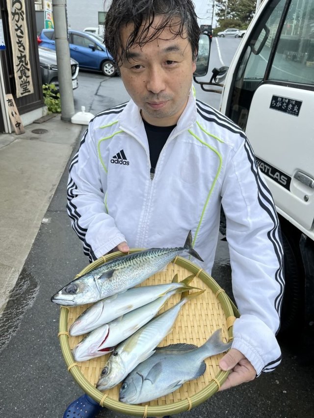 メジナ・アジ(マアジ)