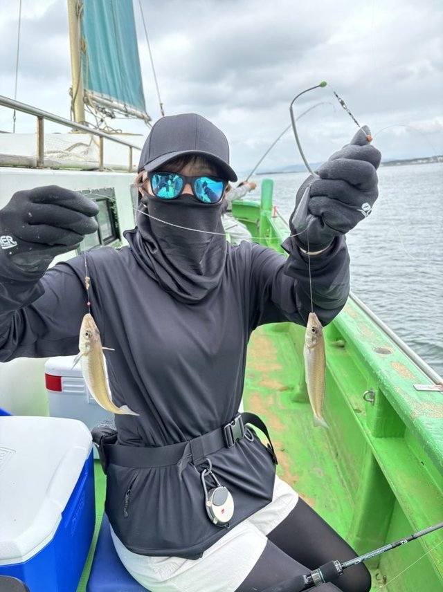 キス(シロギス)