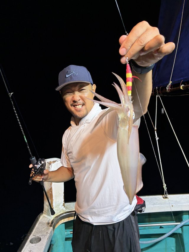 アカイカ(ケンサキイカ)