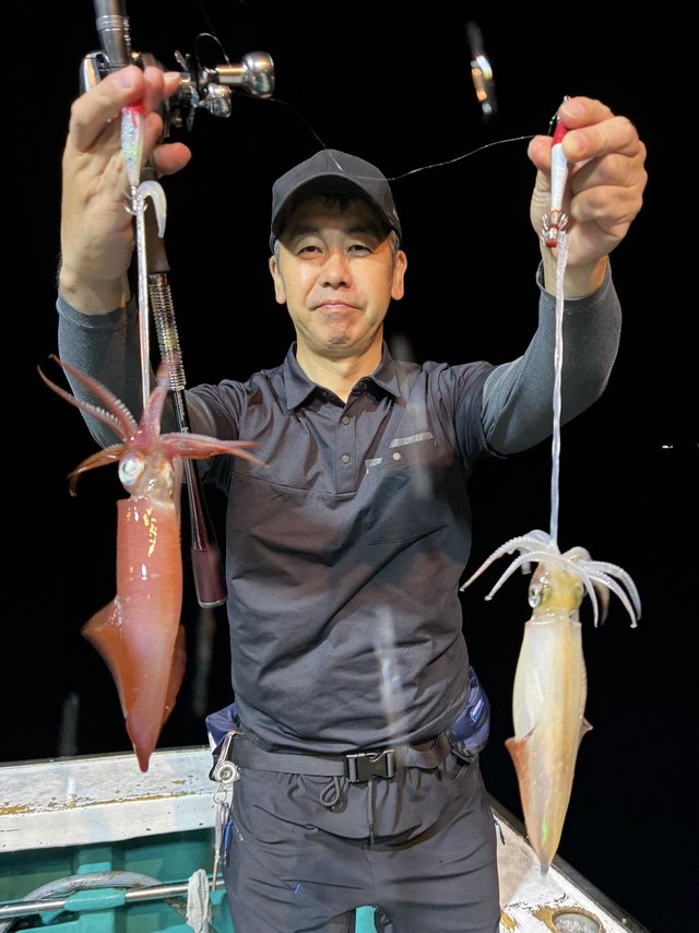 アカイカ(ケンサキイカ)