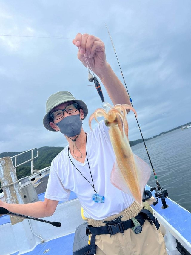 マルイカ(ケンサキイカ)