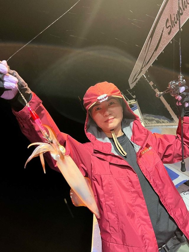 マルイカ(ケンサキイカ)