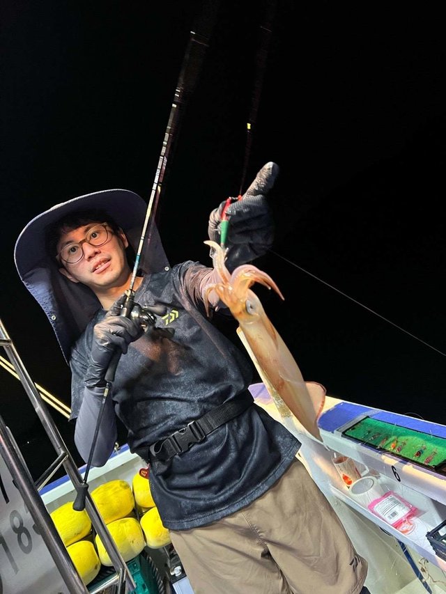 マルイカ(ケンサキイカ)