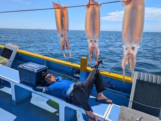 スルメ(スルメイカ)