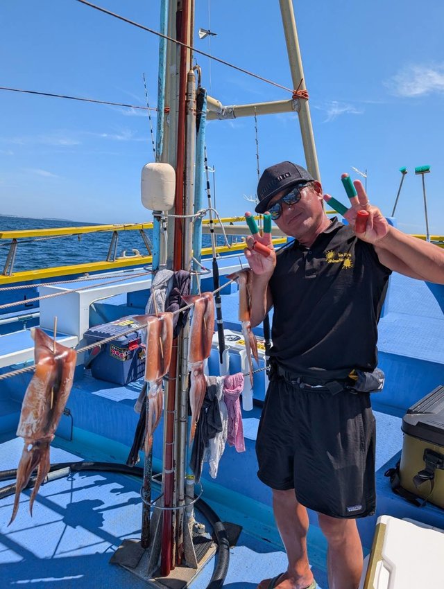 スルメ(スルメイカ)