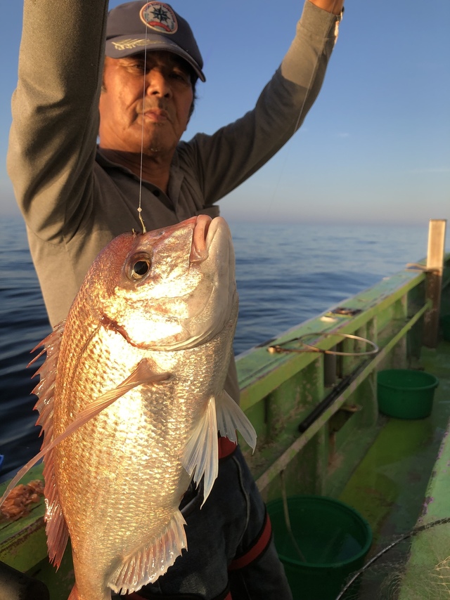 ハナダイ(チダイ)