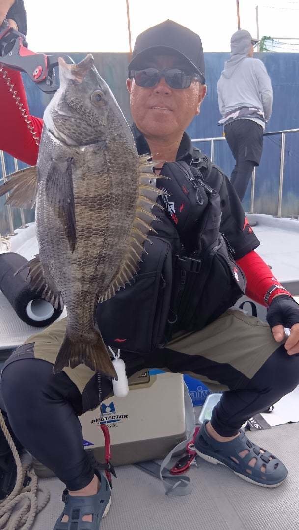 チヌ(クロダイ)