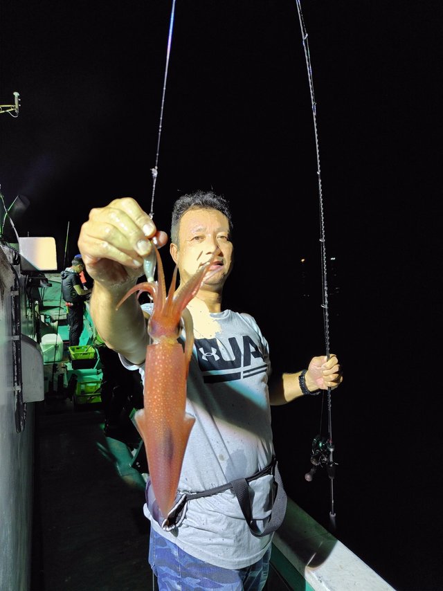 シロイカ(ケンサキイカ)