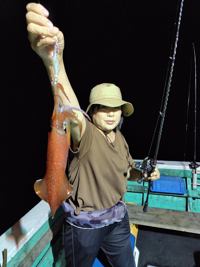 シロイカ(ケンサキイカ)