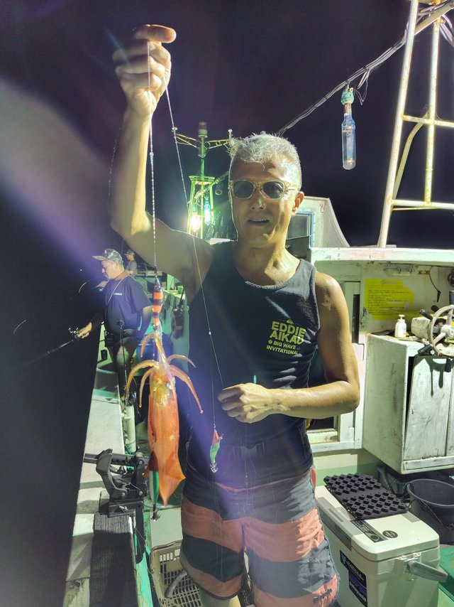 シロイカ(ケンサキイカ)