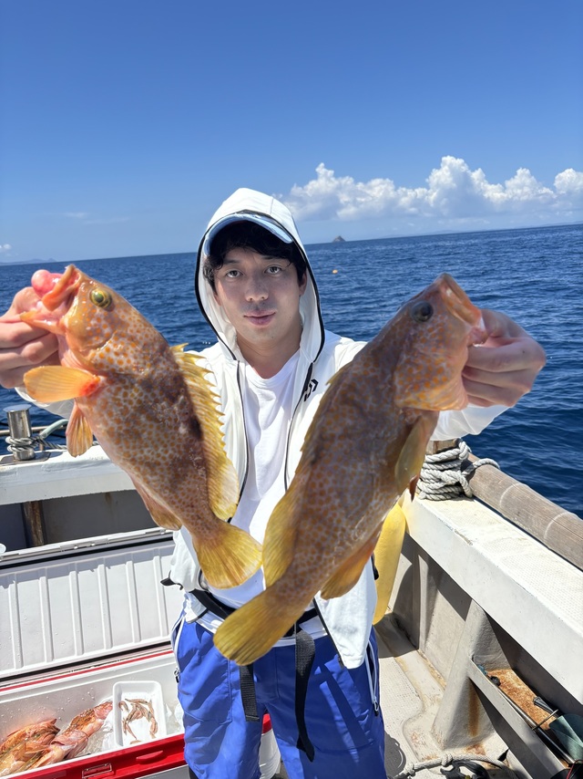 アコウ(キジハタ)