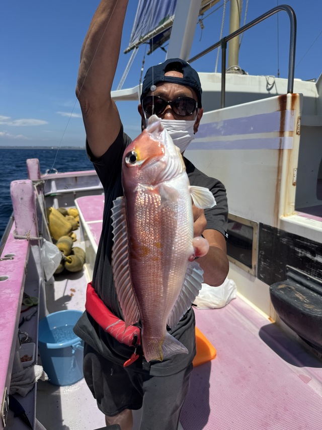 アマダイ(アカアマダイ)