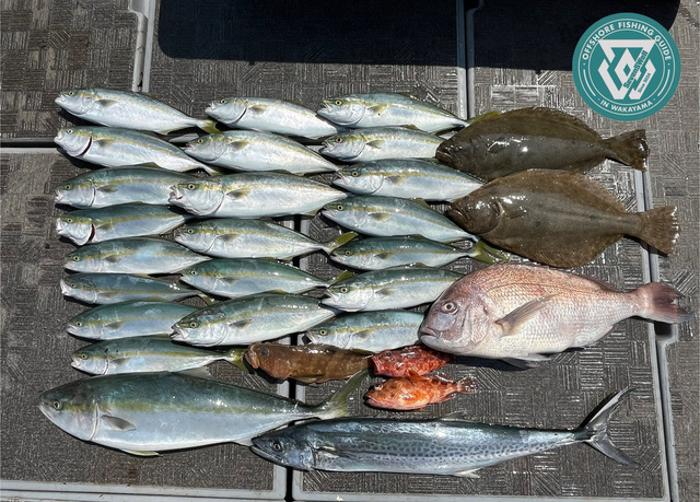 タイ(マダイ)・アコウ(キジハタ)・ブリ・ツバス(ブリ)・サワラ・ヒラメ