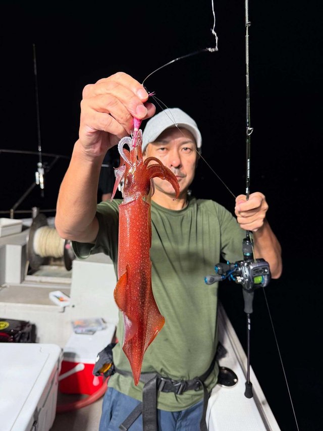 イカ(ケンサキイカ)