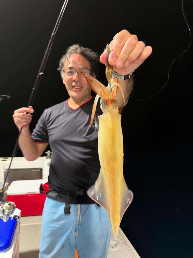 イカ(ケンサキイカ)