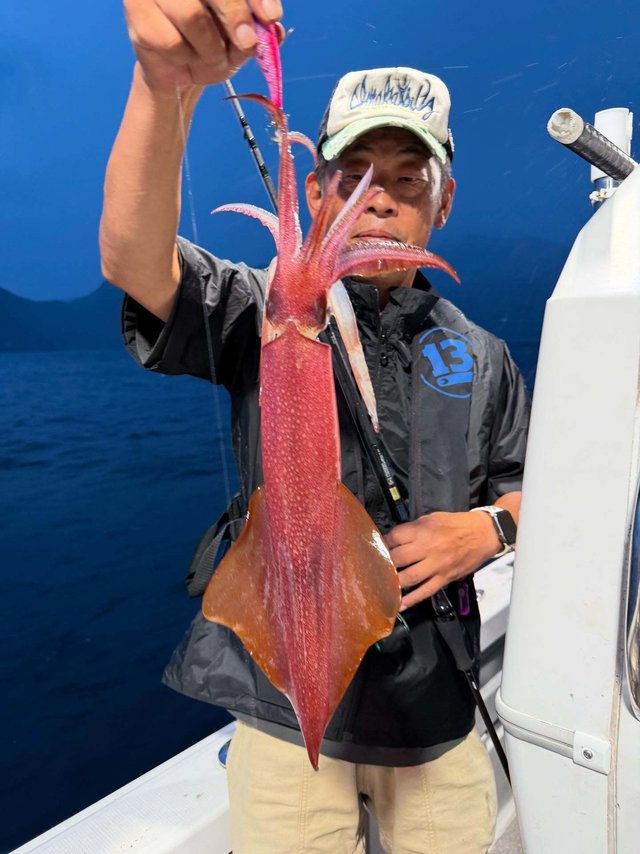 イカ(ケンサキイカ)