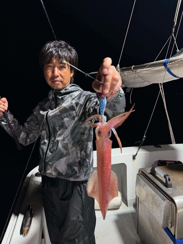 イカ(ケンサキイカ)