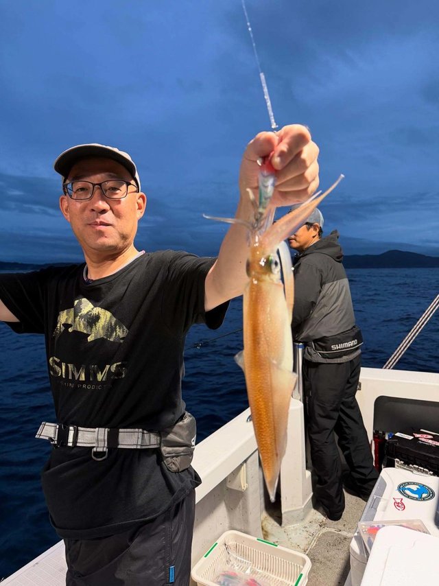 イカ(ケンサキイカ)