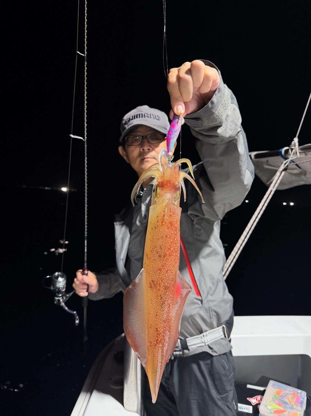 イカ(ケンサキイカ)