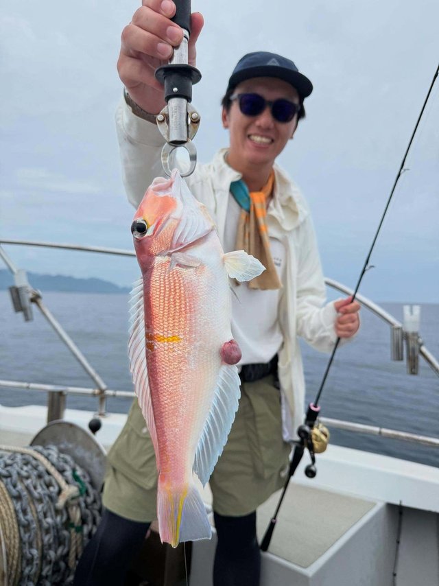 アマダイ(アカアマダイ)