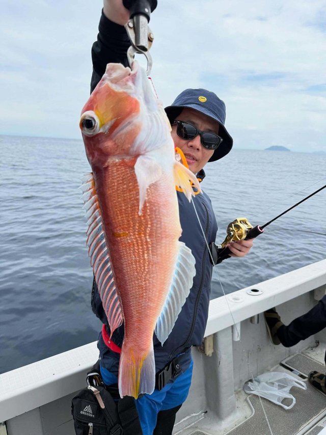 アマダイ(アカアマダイ)