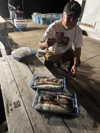 マイカ(ケンサキイカ)