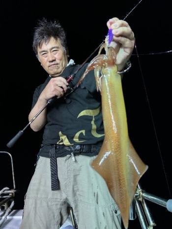 マイカ(ケンサキイカ)