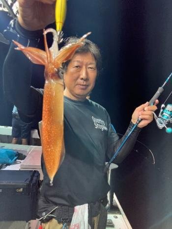 マイカ(ケンサキイカ)