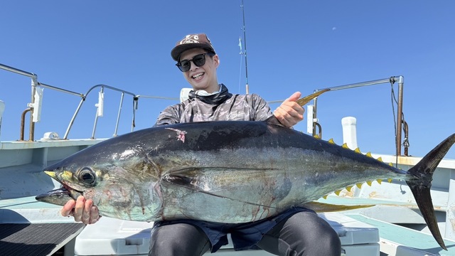 キハダマグロ(キハダ)