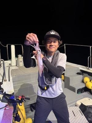 アカイカ(ケンサキイカ)