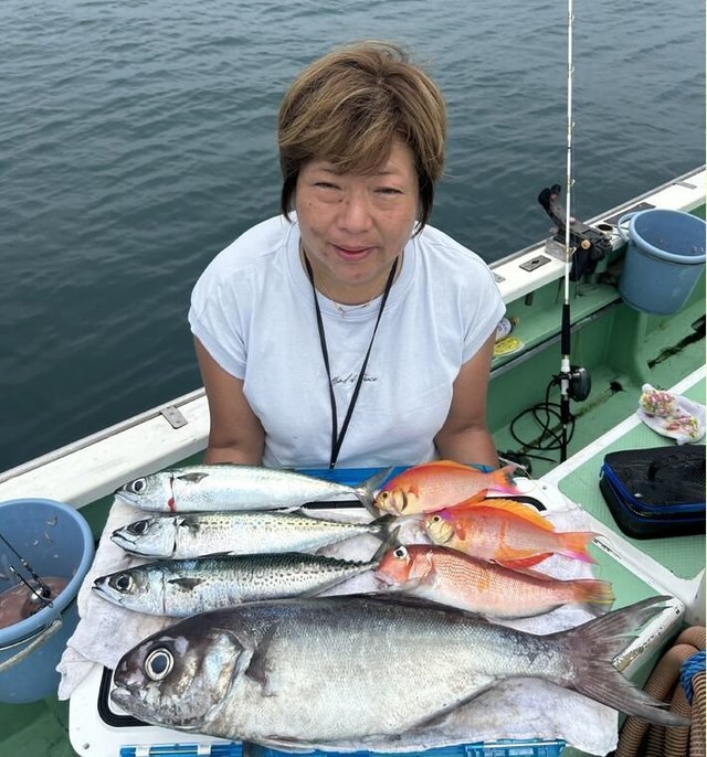 シキシマハナダイ・アマダイ(アカアマダイ)・メダイ