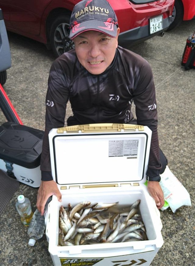 キス(シロギス)