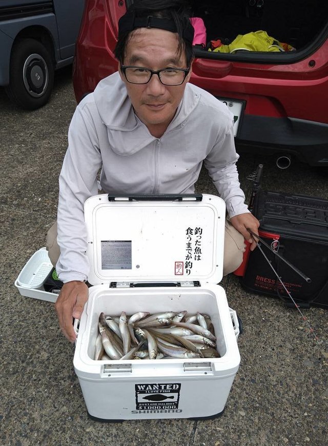 キス(シロギス)