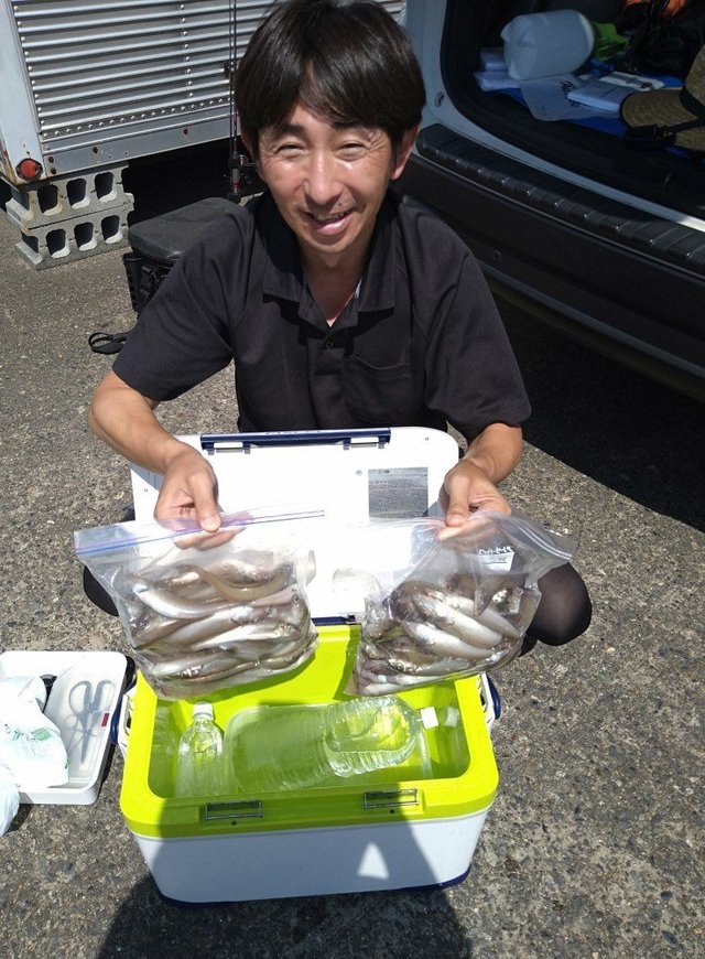 キス(シロギス)