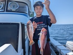 アマダイ(アカアマダイ)