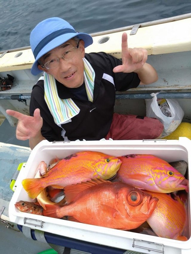 アカイサキ・キントキダイ