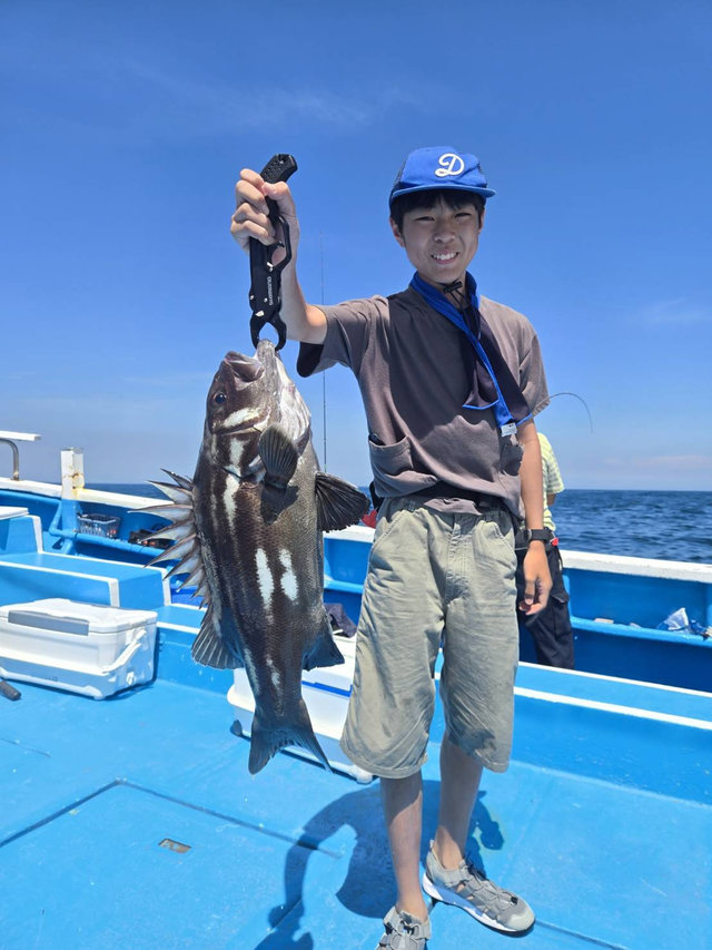 イシナギ(オオクチイシナギ)