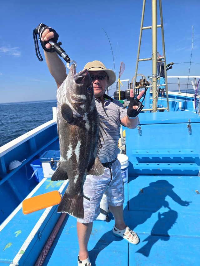 イシナギ(オオクチイシナギ)