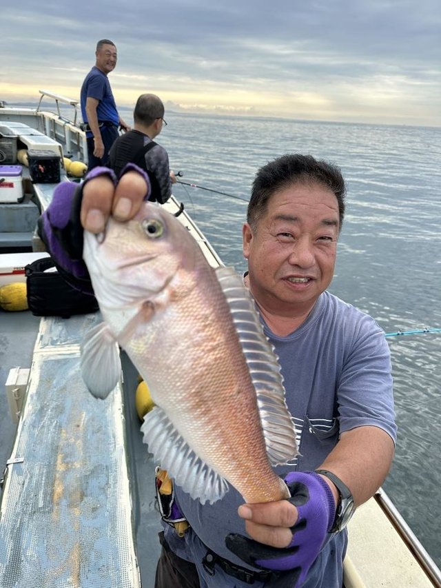 アマダイ(アカアマダイ)