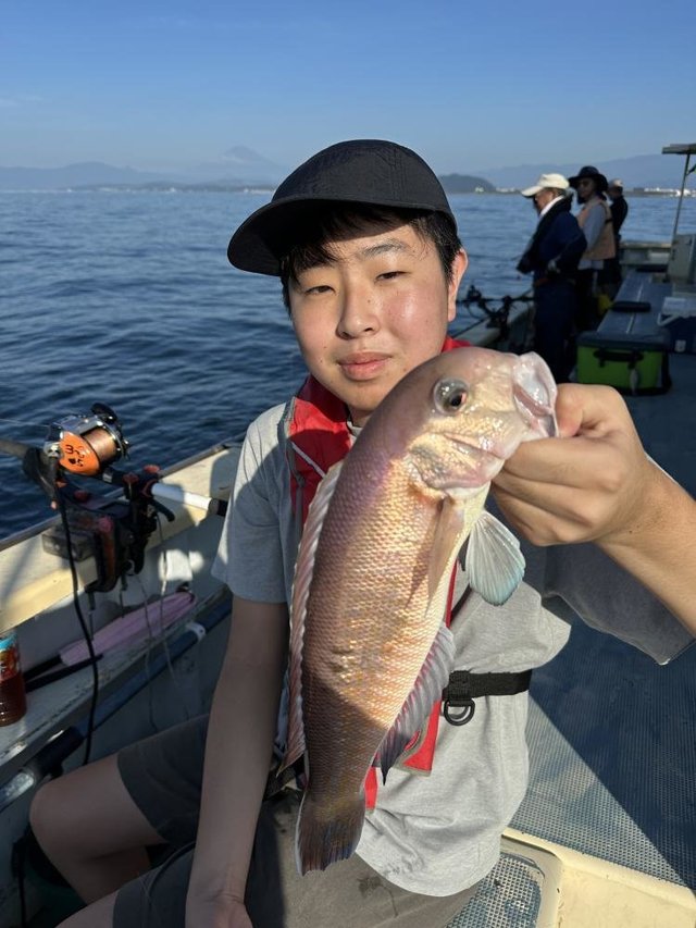 アマダイ(アカアマダイ)