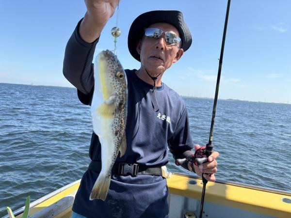 ショウサイフグ