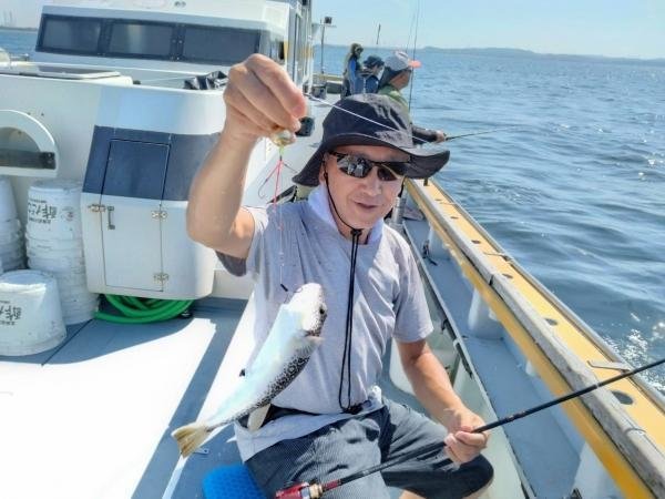 ショウサイフグ