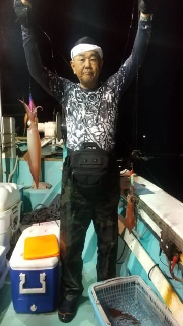 マイカ(ケンサキイカ)