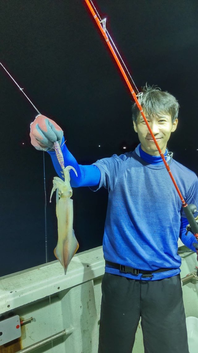 マイカ(ケンサキイカ)