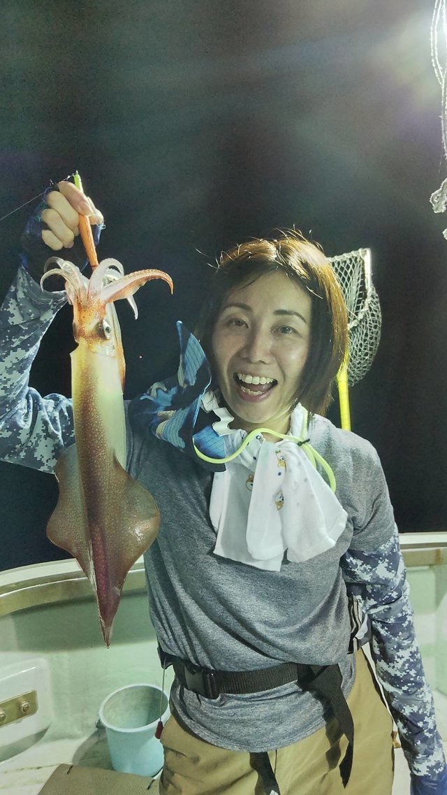 マイカ(ケンサキイカ)