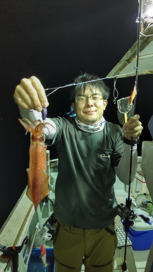 マイカ(ケンサキイカ)