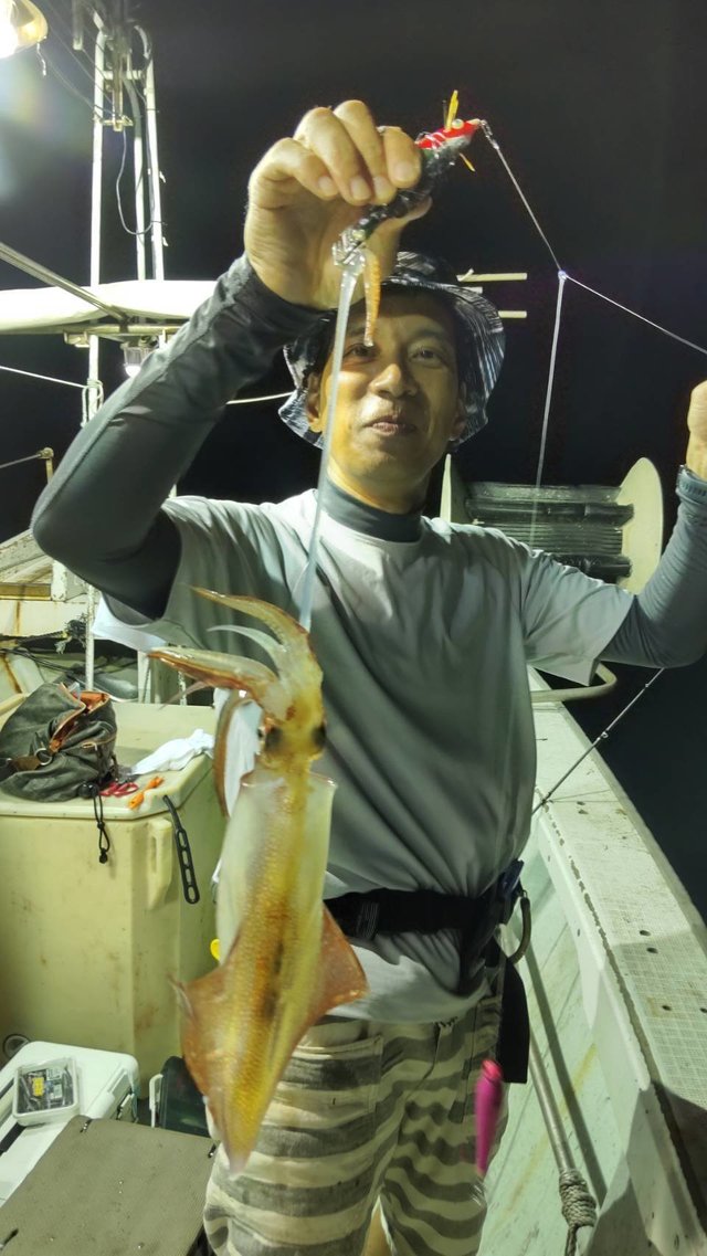 マイカ(ケンサキイカ)