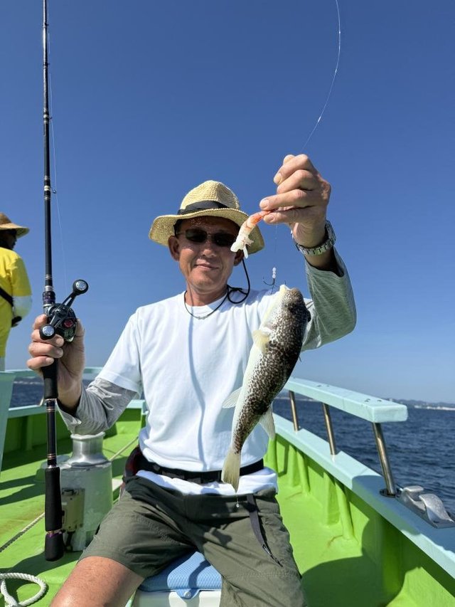 フグ(ショウサイフグ)