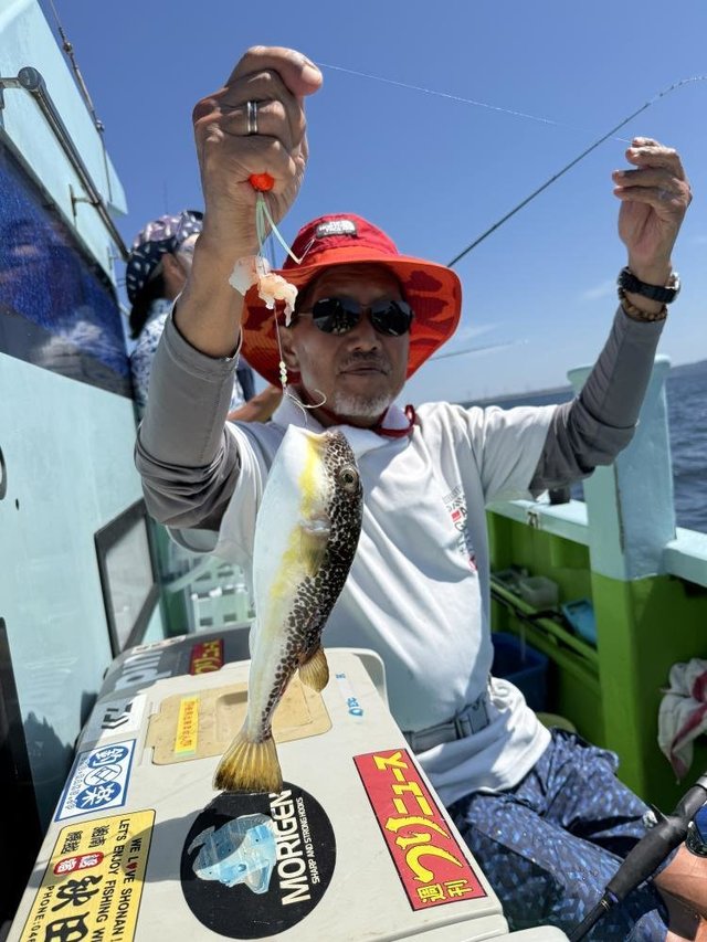 フグ(ショウサイフグ)